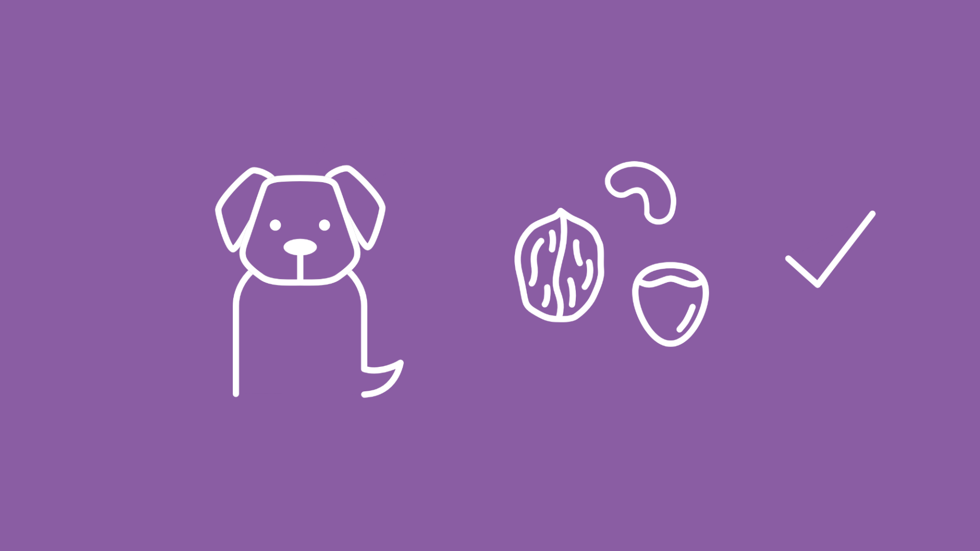 Die Grafik zeigt einen fröhlichen Hund. Um ihn herum Symbole verschiedener Nussorten mit Häkchen.