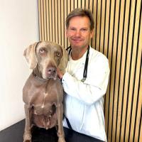 Tierarzt Dr. med. vet. Tiegs mit seiner Weimaraner Hündin.