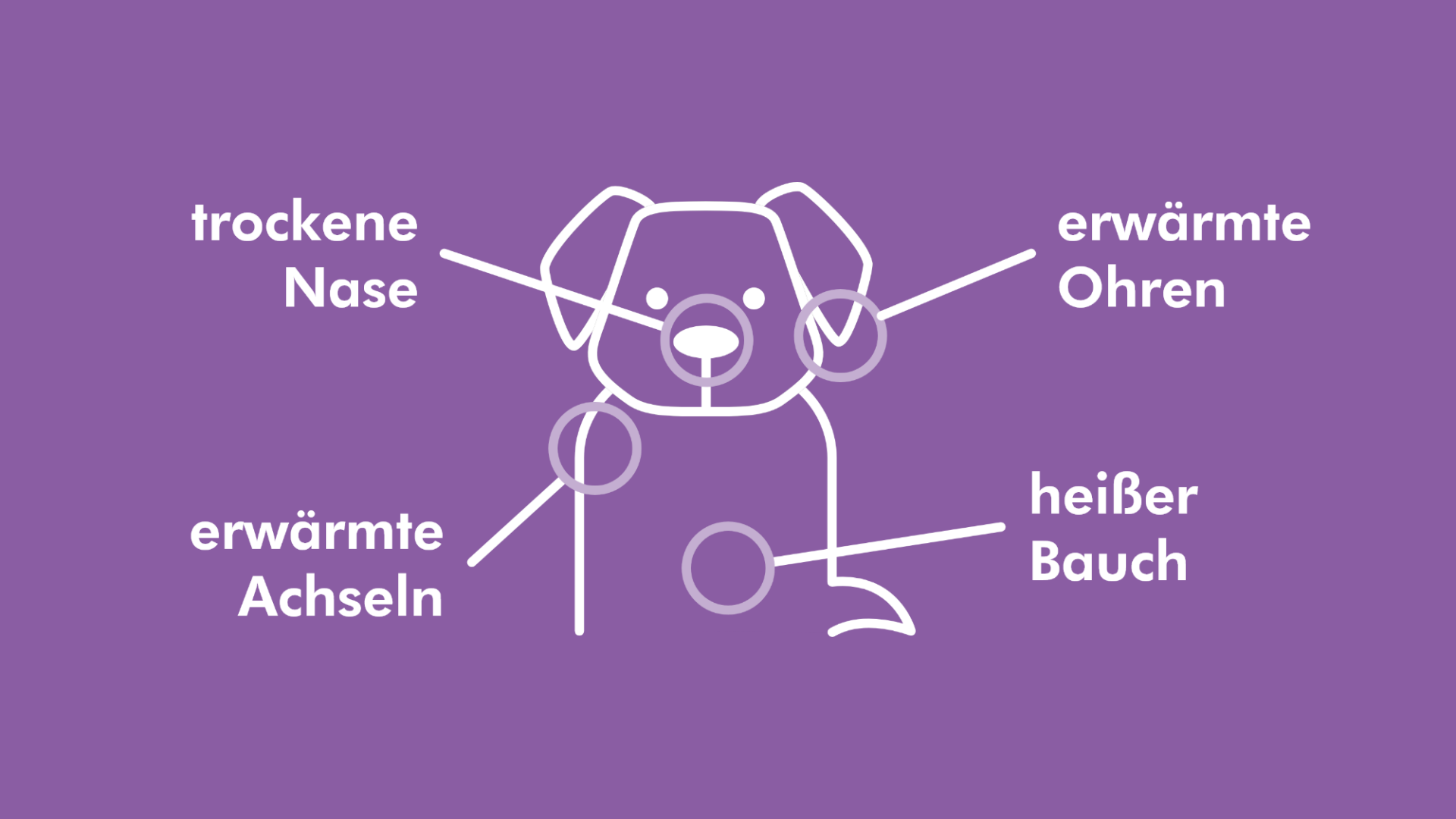 Auf dieser Grafik ist ein Hund abgebildet. Alle Körperstellen, an denen Symptome von Fieber auftreten können, sind umkreist. 