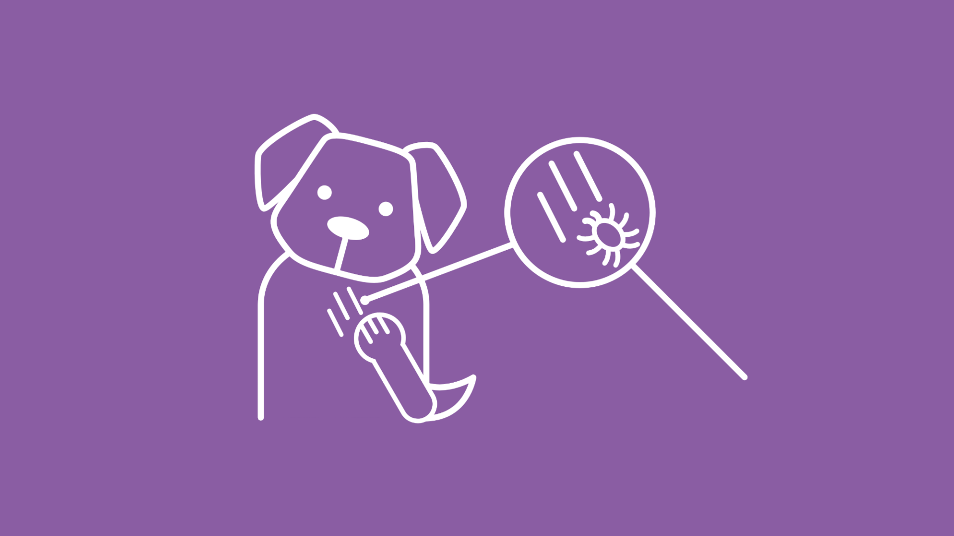 Die Grafik zeigt einen sich kratzenden Hund, auf dessen Fell eine Lupe gerichtet ist. Eindeutig ist zu erkennen, dass der Hund von Grasmilben befallen ist. 