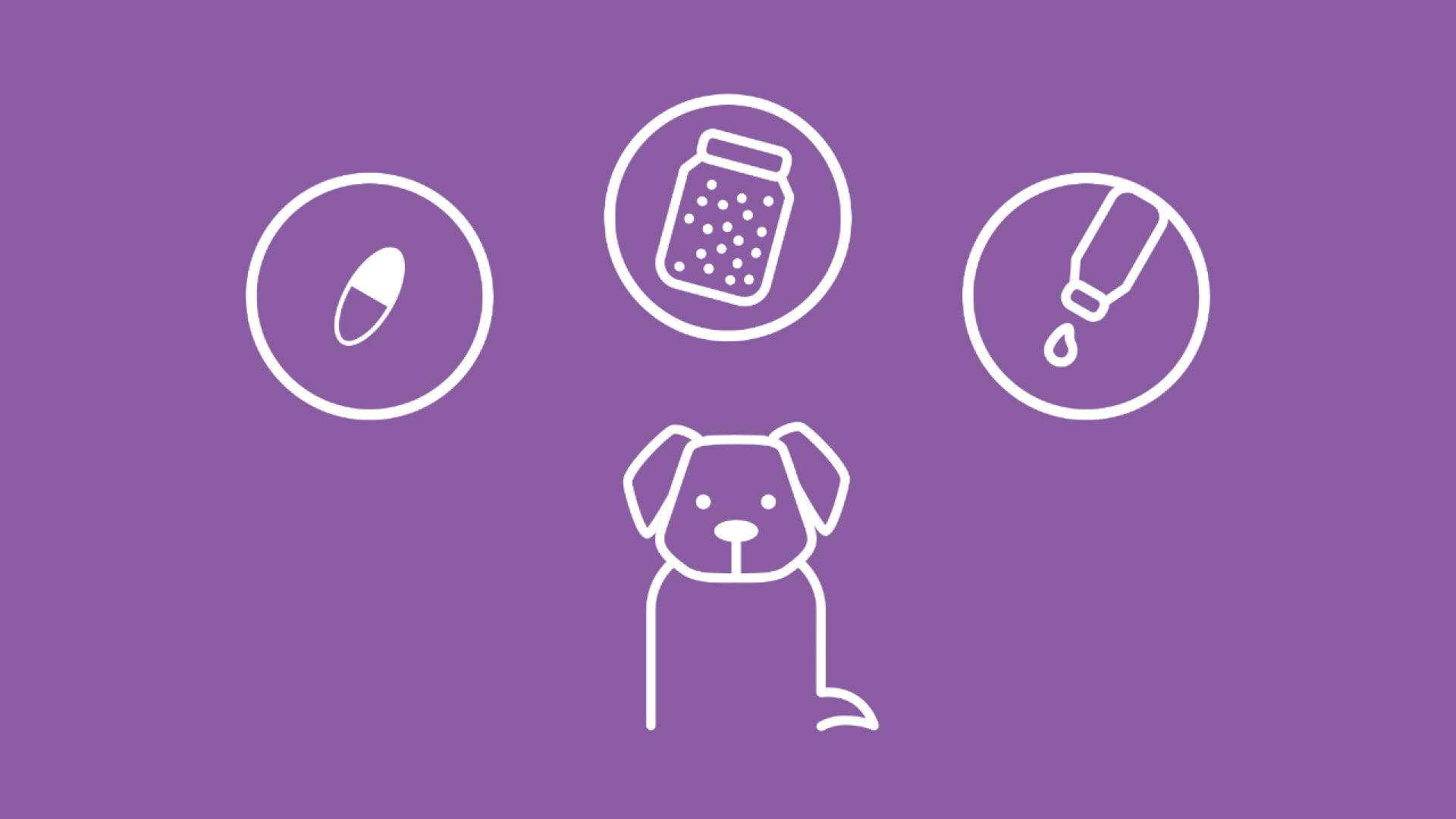 Hier sind verschiedene Verabreichungsformen von Homöopathie für Hunde abgebildet.