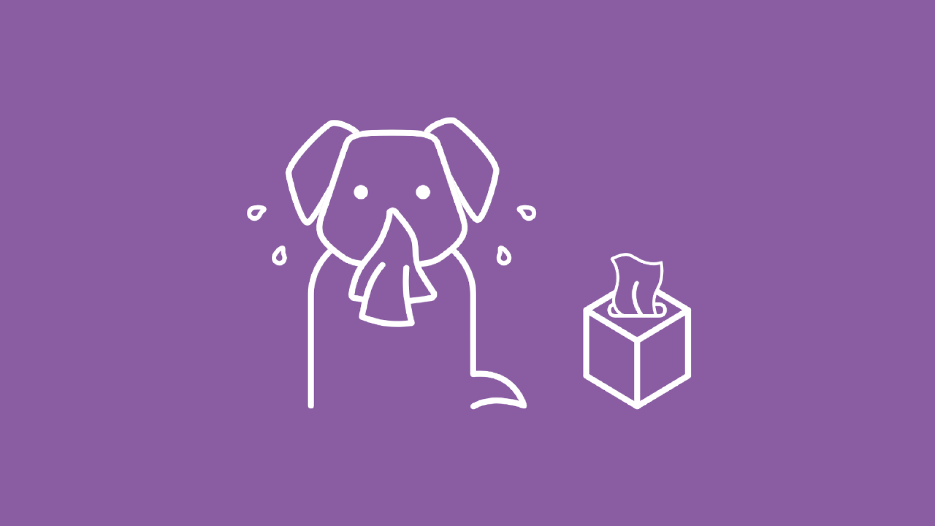 Das Bild zeigt einen Hund mit laufender Nase neben einer Box mit Taschentüchern. 