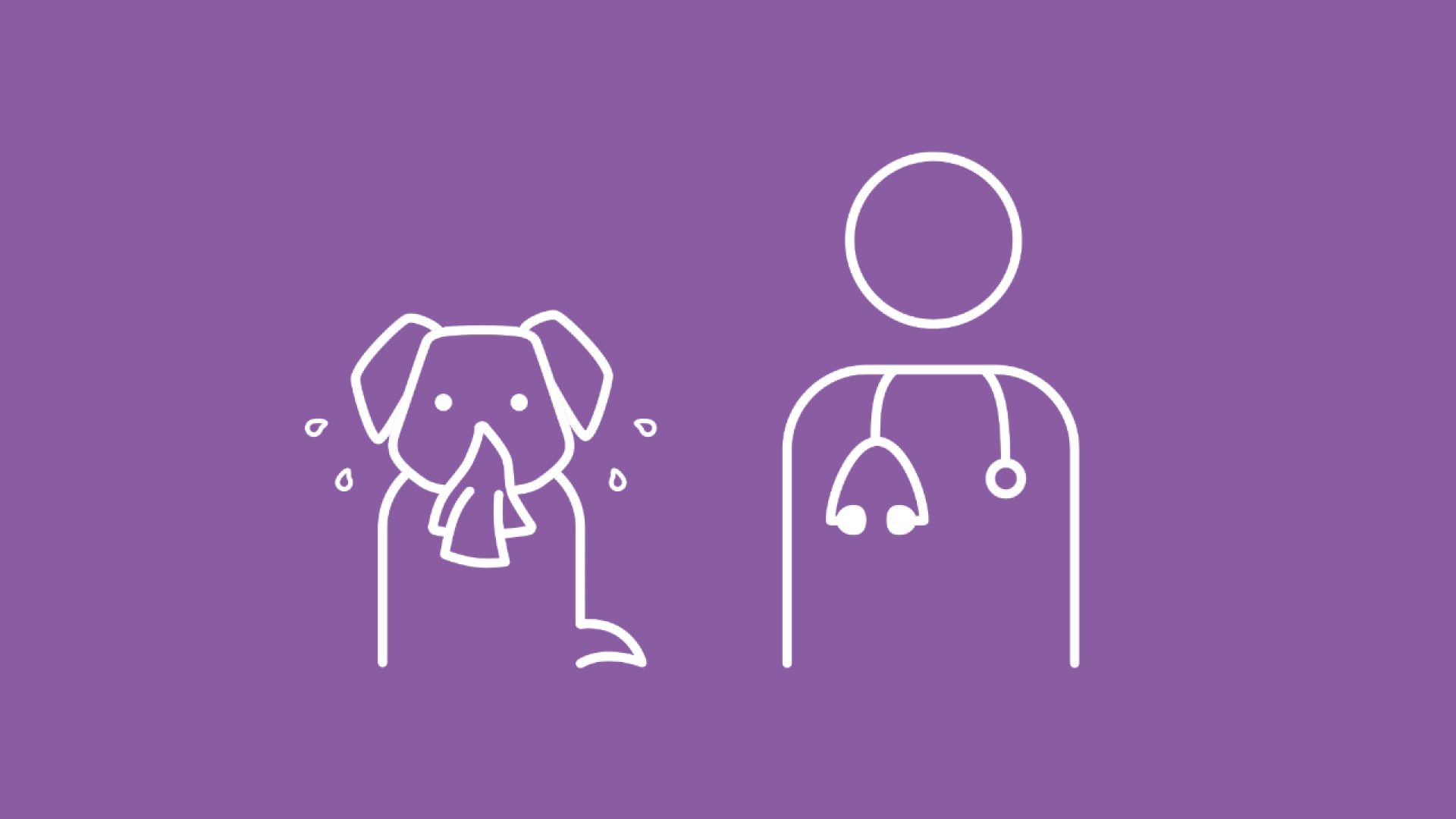 Die Grafik zeigt einen Hund mit laufender Nase und Schal, der beim Tierarzt untersucht wird. 