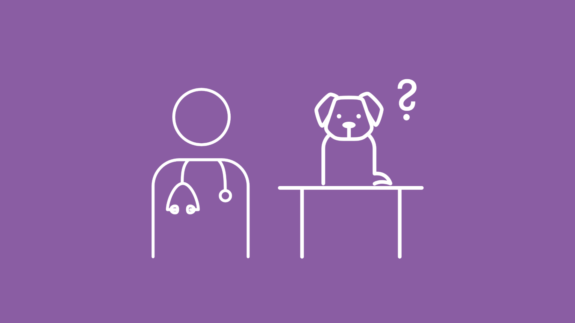Hund beim Tierarzt mit Fragezeichen über dem Kopf