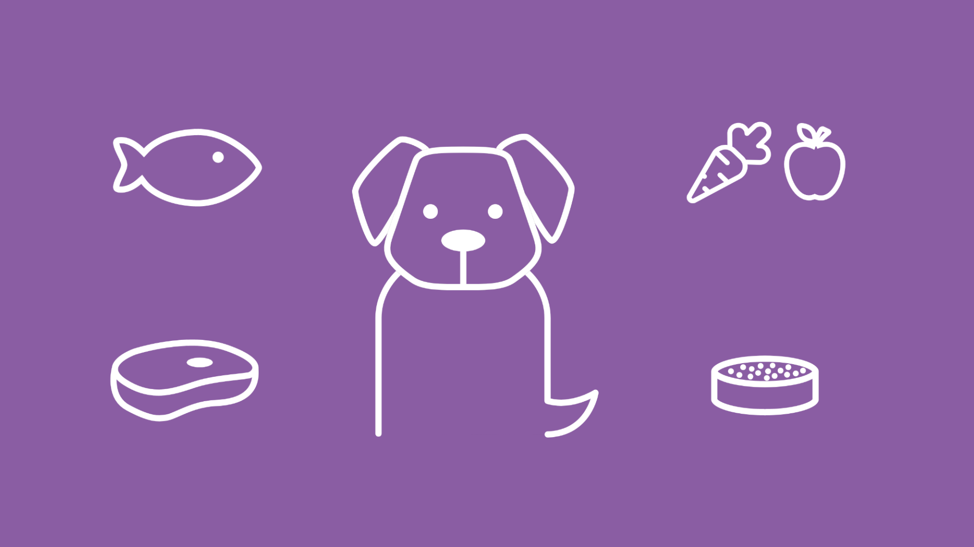 Ein Hund bekommt verschiedene Lebensmittel – wie Fleisch, Fisch und Gemüse – zu fressen, um eine ausgewogene Hundeernährung zu gewährleisten.