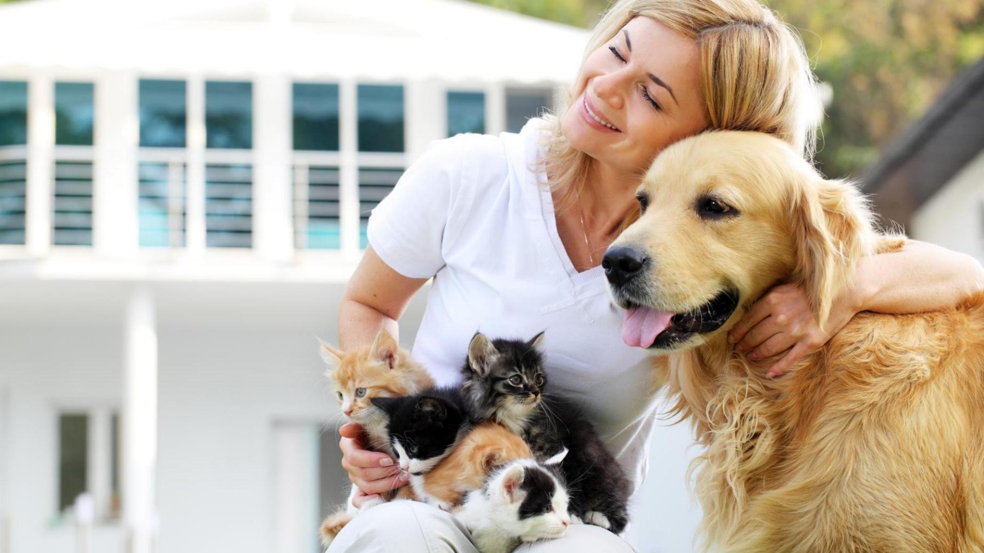 Produktbild Tierkrankenversicherung