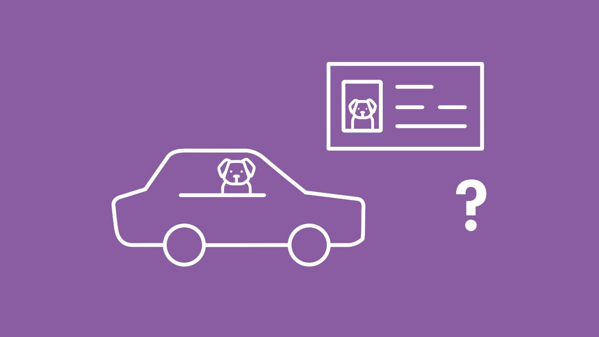 Die Grafik zeigt einen Hund in einem Auto. Daneben ist ein Führerschein mit dem Bild des Hundes und ein Fragezeichen zu sehen. 