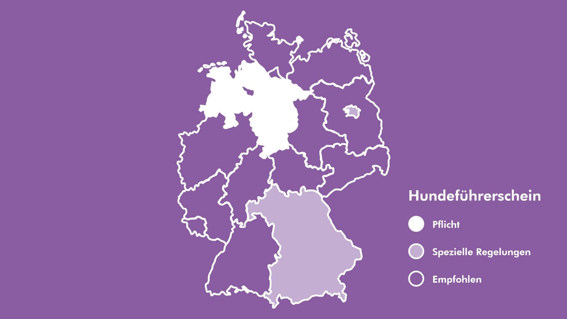 Die Grafik zeigt eine Deutschlandkarte auf der Niedersachsen, Berlin und Bayern markiert sind, da es hier bereits Regelungen zum Hundeführerschein gibt. 