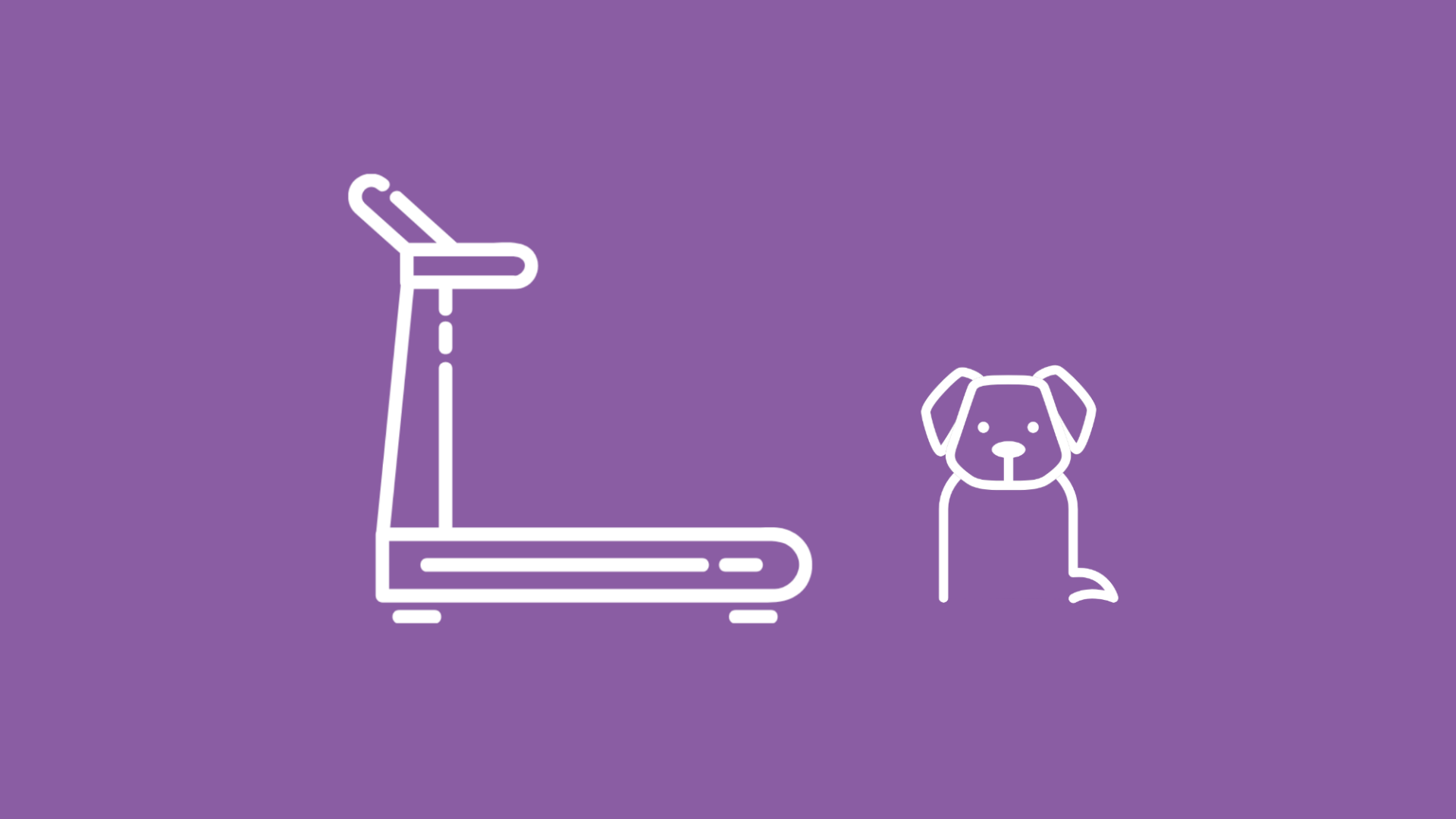 Auf dem Bild ist ein Hund bei der Physiotherapie zu sehen, der neben einem Laufband sitzt.