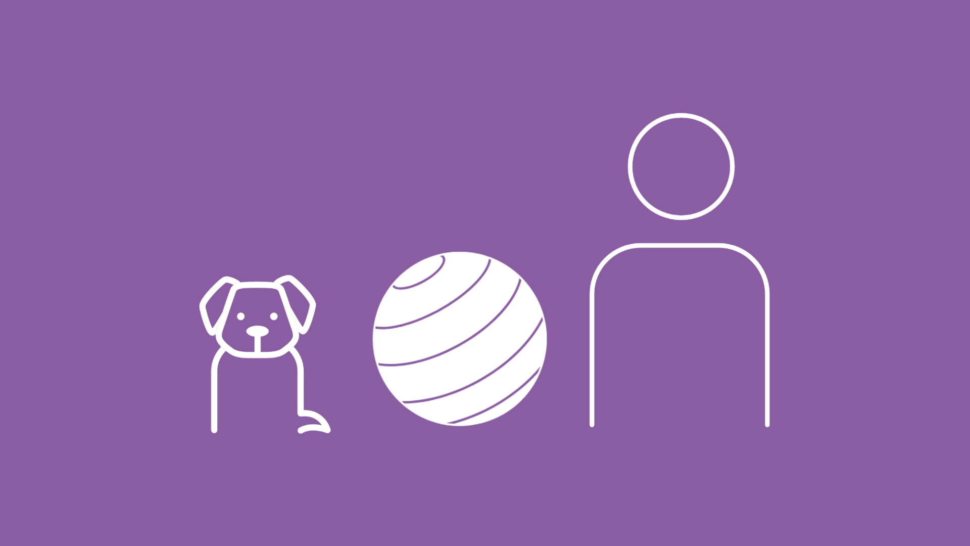 Auf dem Bild ist ein Hund mit einem Gymnastikball und einem Therapeuten abgebildet, der zur Physiotherapie geht.