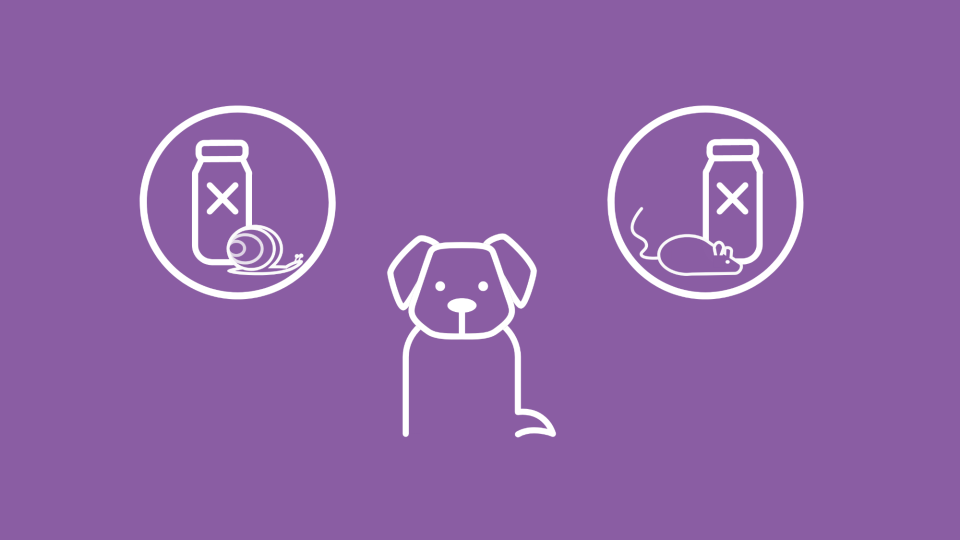 Das Bild stellt anhand eines sitzenden Hundes, Schneckengift-Icon und Rattengift-Icon die Vergiftung beim Hund dar.