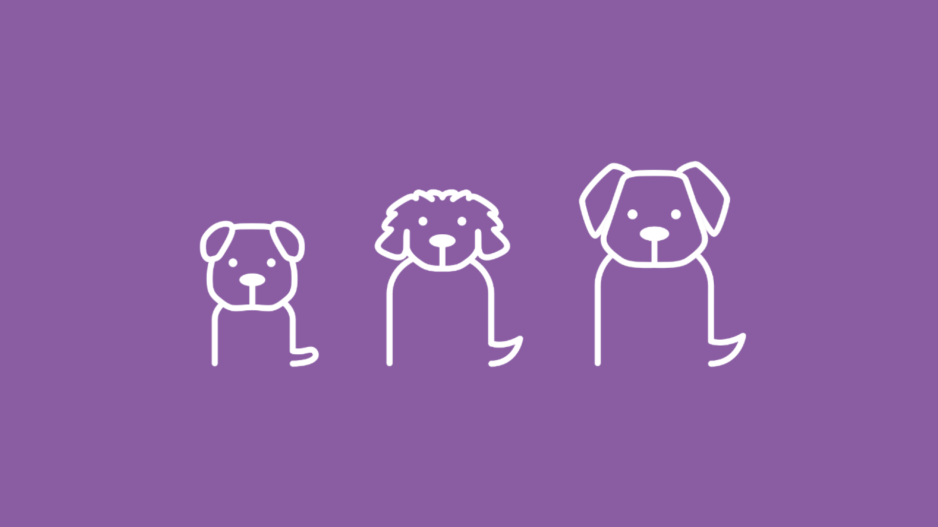Auf der Graifk sind drei unterschiedliche Hunderassen, die unterschiedlich groß sind, abgebildet.