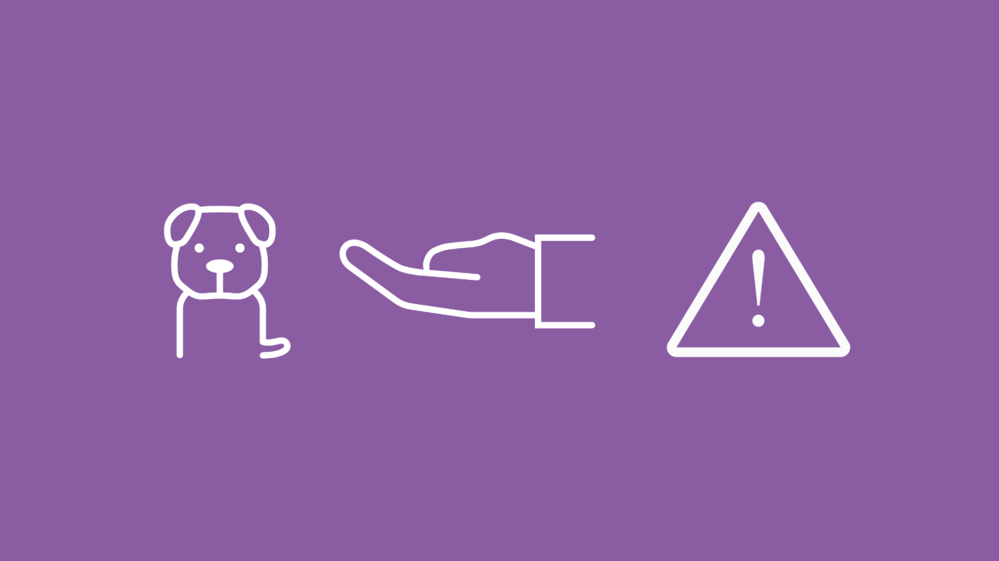 Welpe beißt und schnappt Was tun? Helvetia