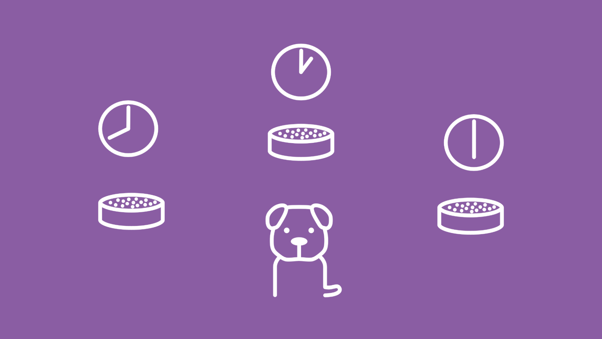 Ein Hundewelpe neben 3 gefüllten Futternäpfen, über denen jeweils eine andere Uhrzeit abgebildet wird, stellt die optimale Welpenernährung dar. 