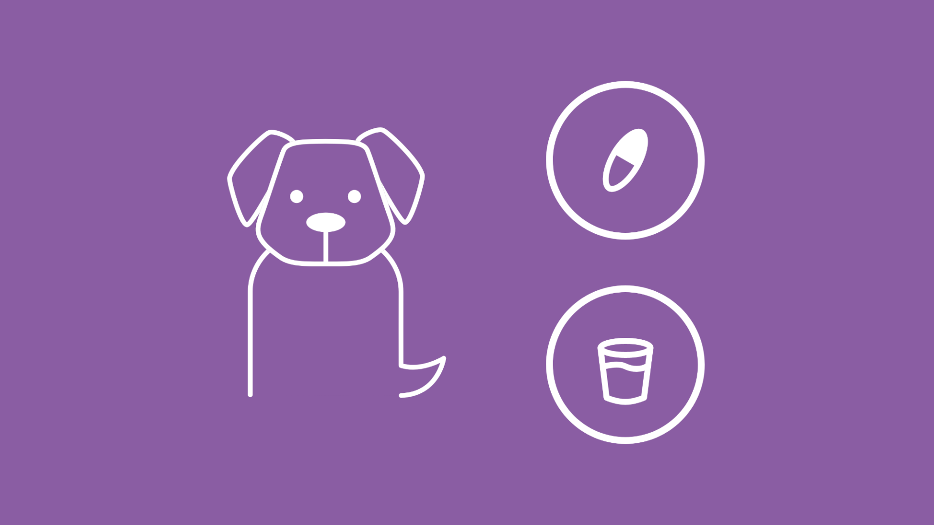 Die Grafik zeigt einen Hund, neben dem unter einer Lupe ein Wurm abgebildet ist. Daneben ist jeweils in einem Kreis eine Wurmtablette, ein Glas Kokosöl und ein Fragezeichen zu sehen. 