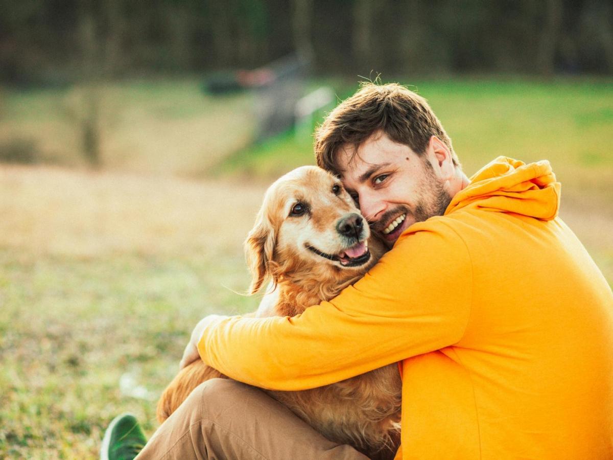 Produktbild Tierkrankenversicherung