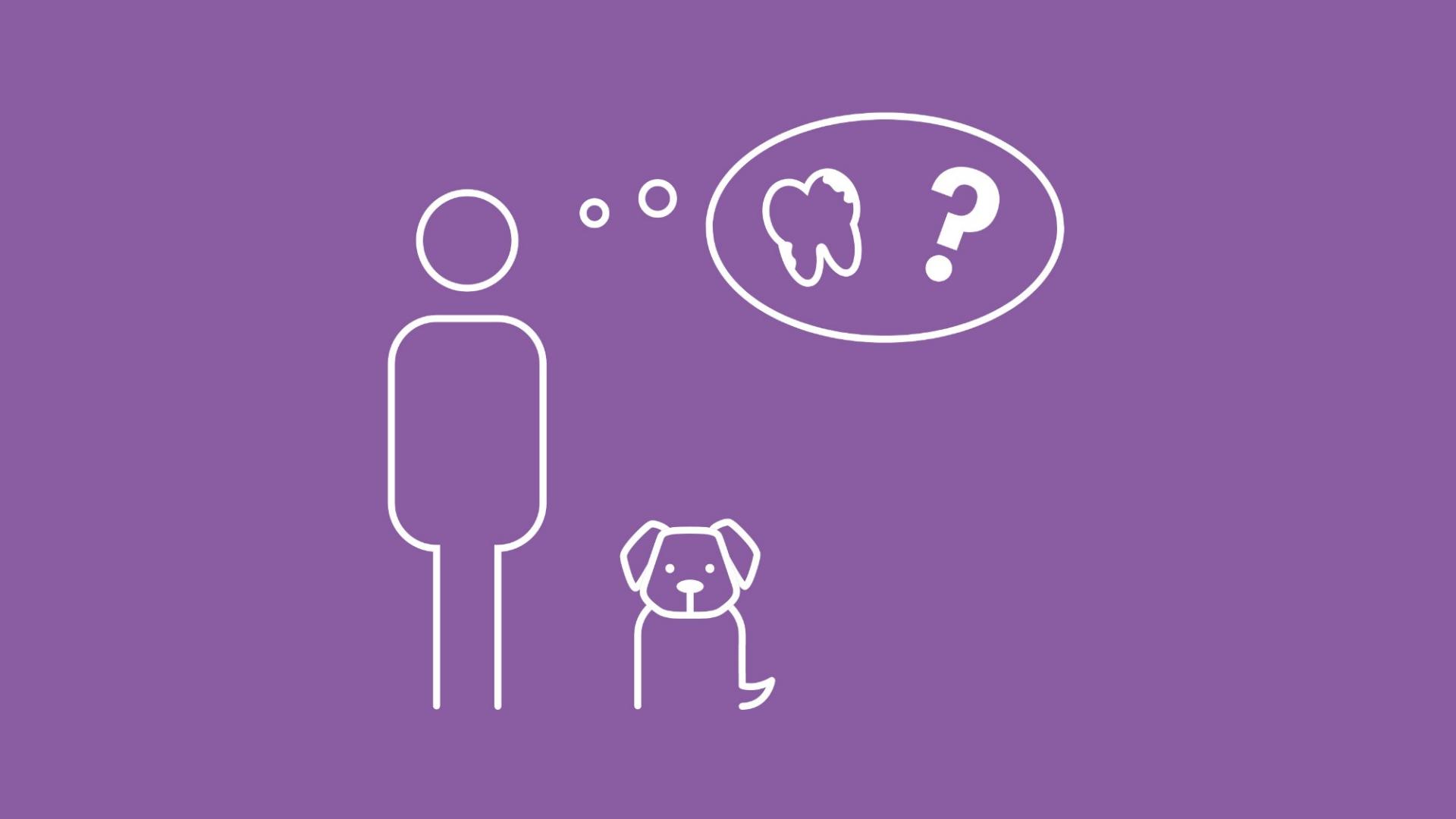 Die Grafik zeigt einen Menschen, der sich fragt, wann Zähneputzen beim Hund wichtig ist. 