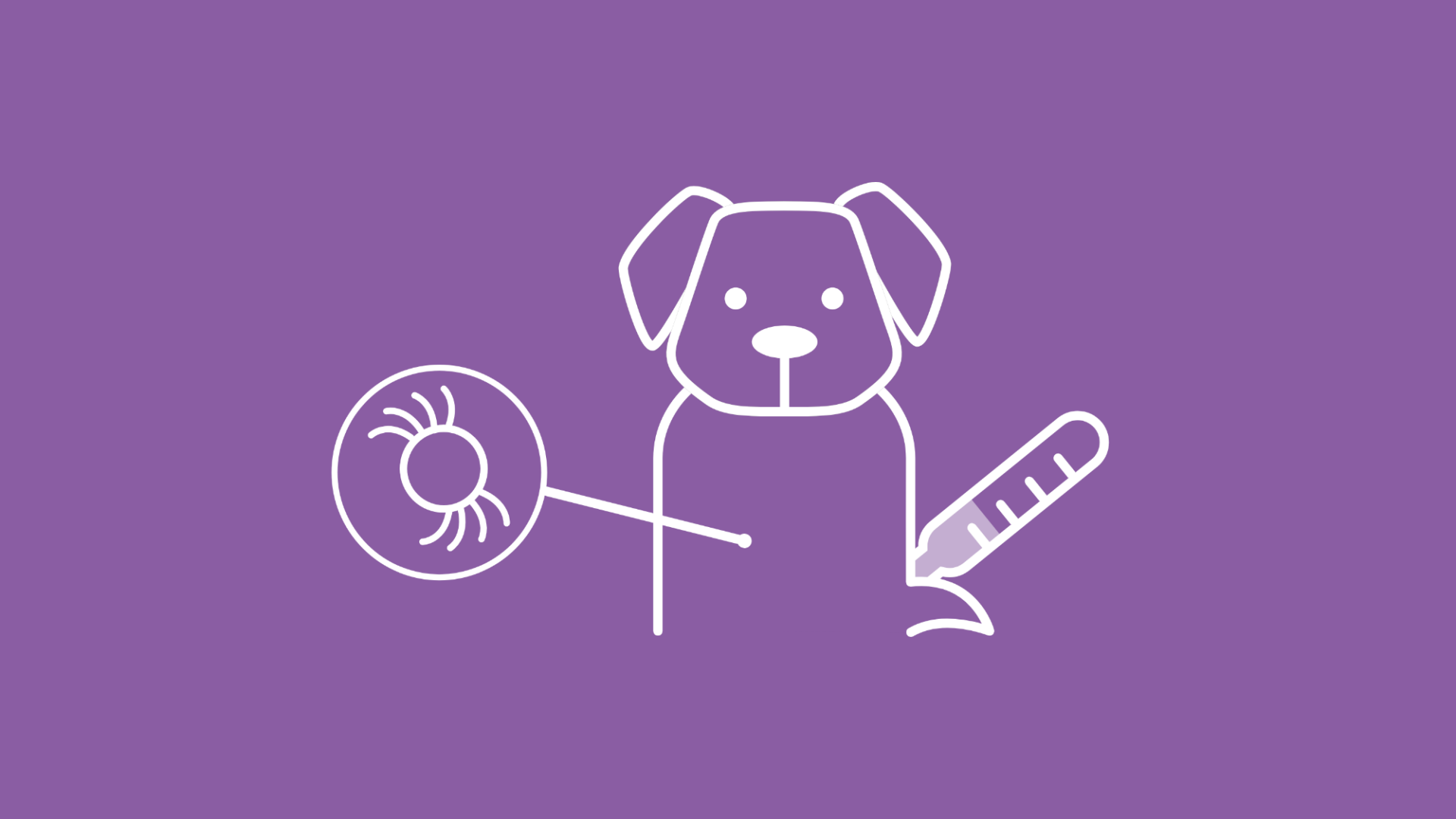 Die Grafik symbolisiert, dass ein Zeckenbiss bei Hunden Fieber auslösen kann.