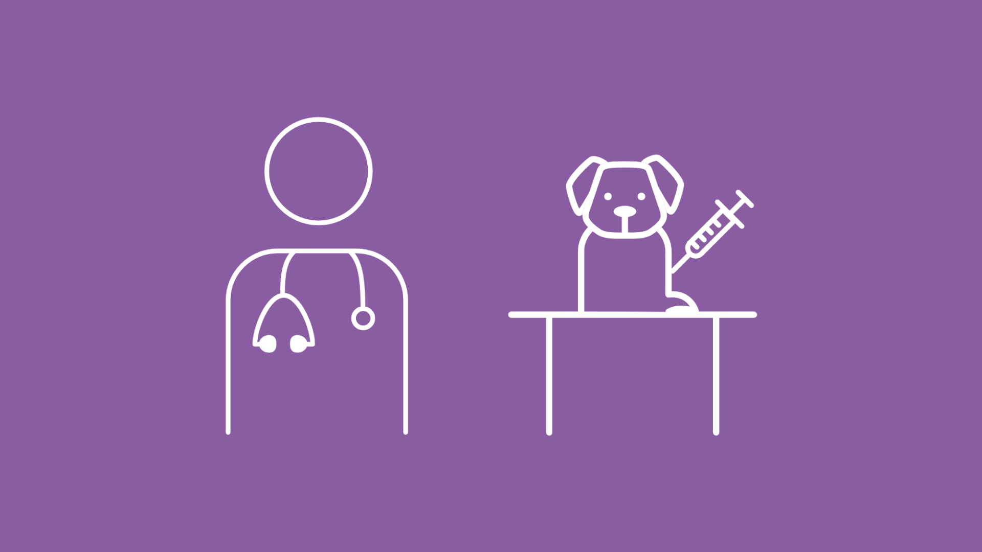 Ein Hund mit Zwingerhusten wird beim Tierarzt geimpft.