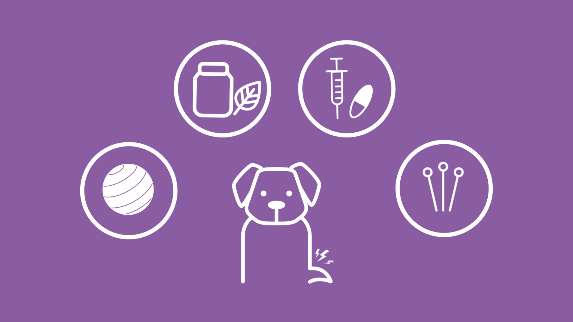 Es sind verschiedene Behandlungsmöglichkeiten für Hunde mit Hüftgelenksdysplasie dargestellt.