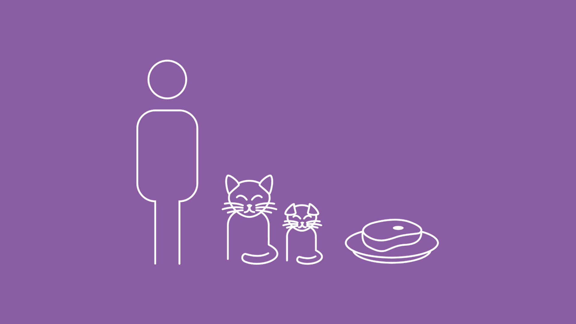 Eine Katze und ein Kitten sitzen neben einem Teller mit einem rohen Stück Fleisch. Neben ihnen steht außerdem ihr Besitzer. 