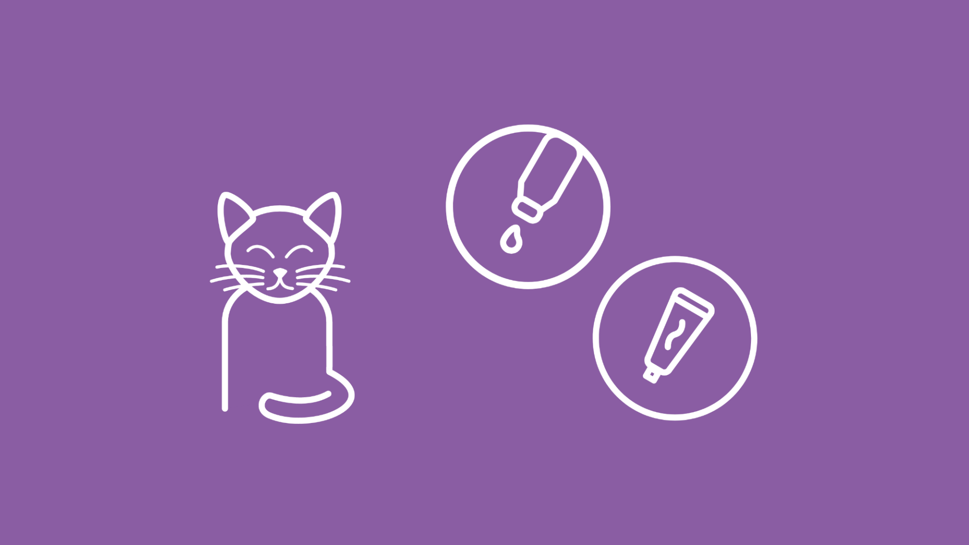 Salbe und Tropfen neben einer Katze symbolisieren die Behandlung der Bindehautentzündung.