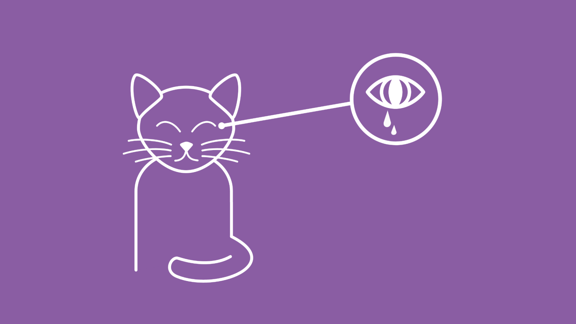Ein tränendes Auge symbolisert, dass die Katze eine Bindehautentzündung hat.