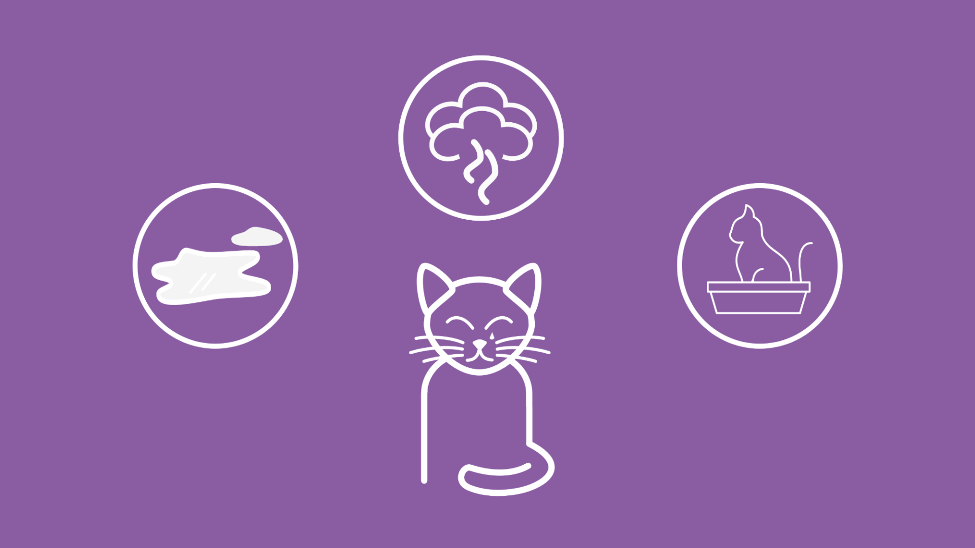 Um eine Katze herum sind Symptome einer Blasenentzündung abgebildet.