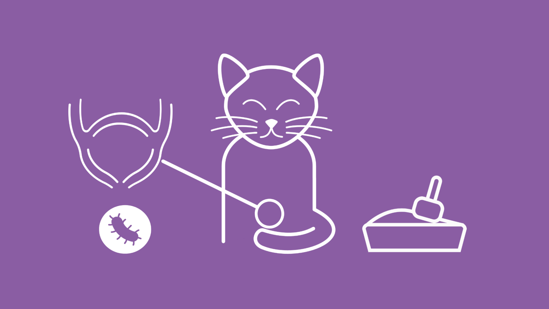 Die Grafik zeigt eine Katze mit einer Blasenentzündung neben einem Katzenklo.
