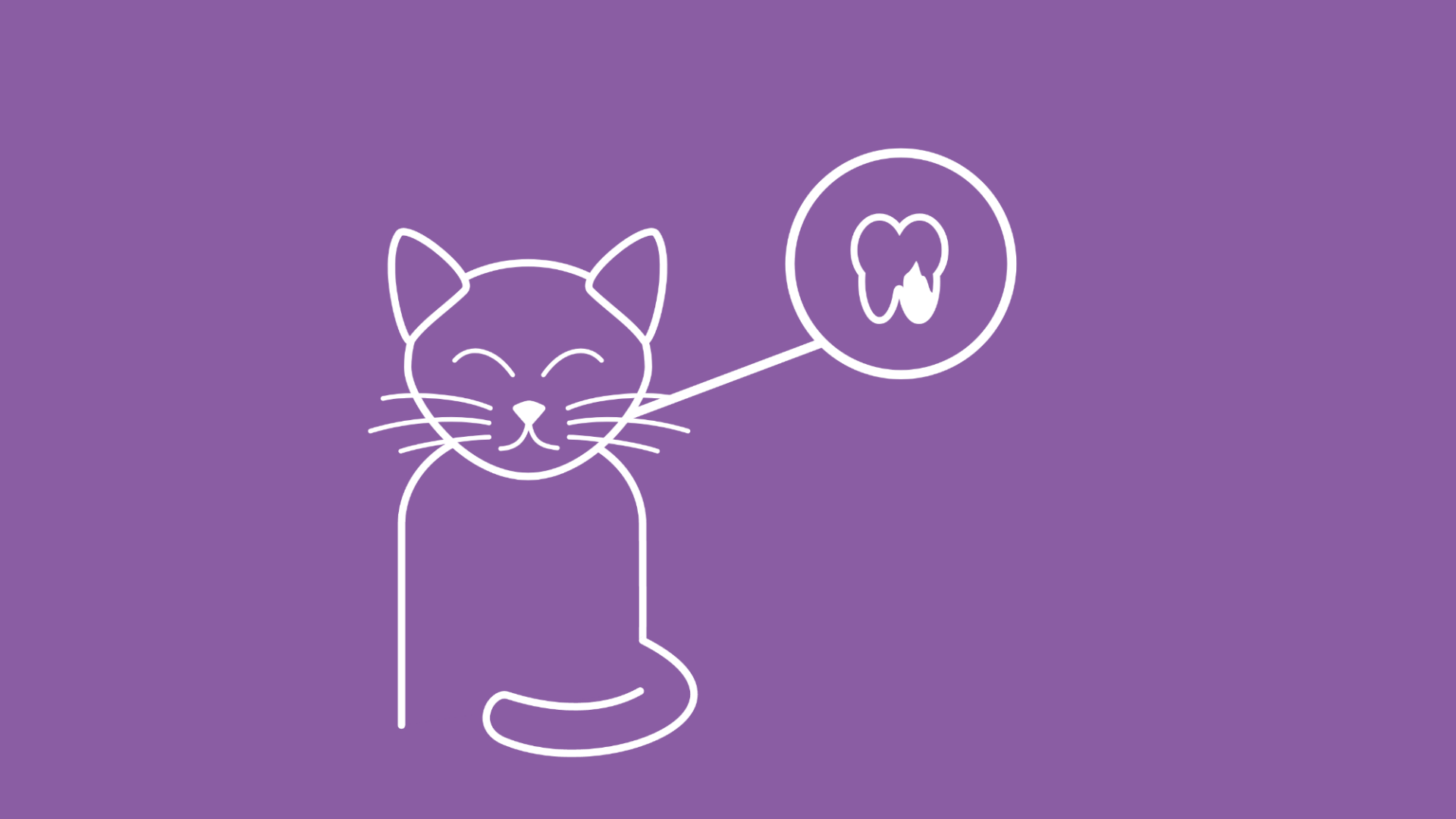FORL – eine Zahnerkrankung bei Katzen