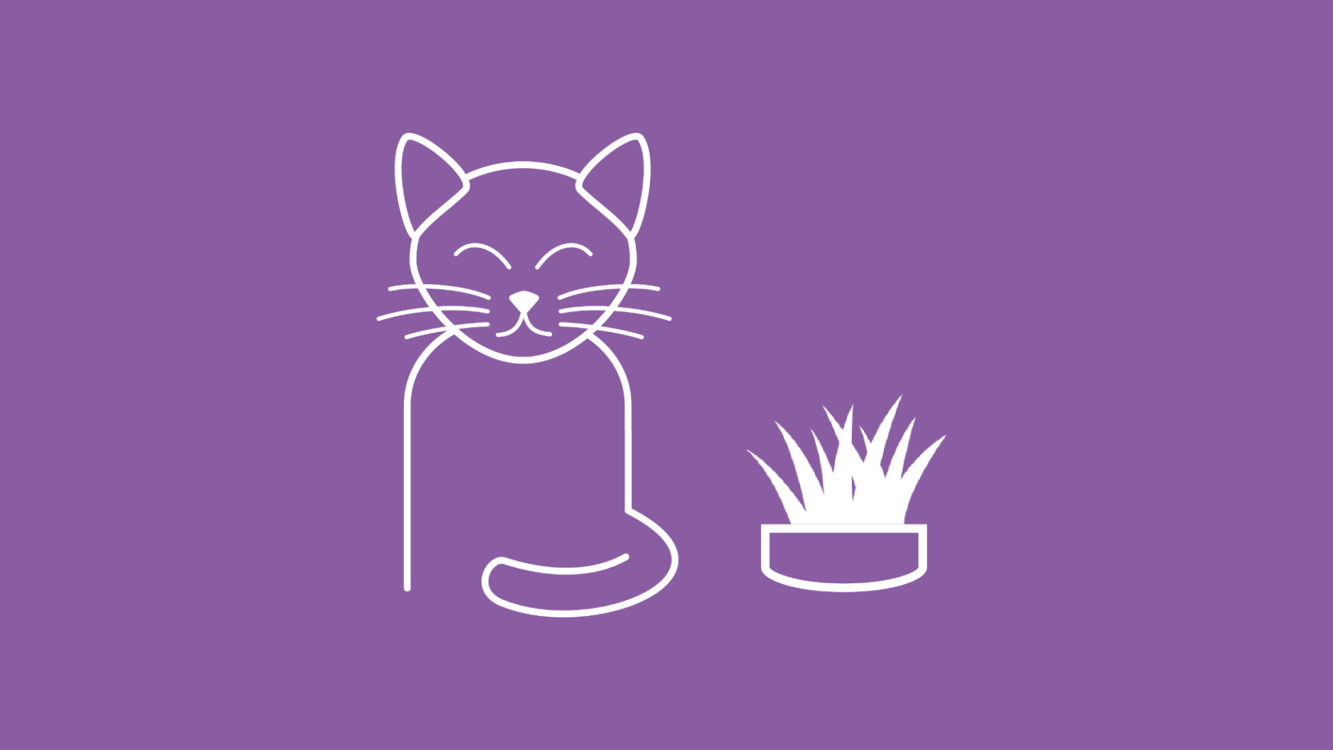Zu sehen ist eine Katze neben einem Topf Katzengras, welches nicht zu den giftigen Pflanzen für Katzen gehört.