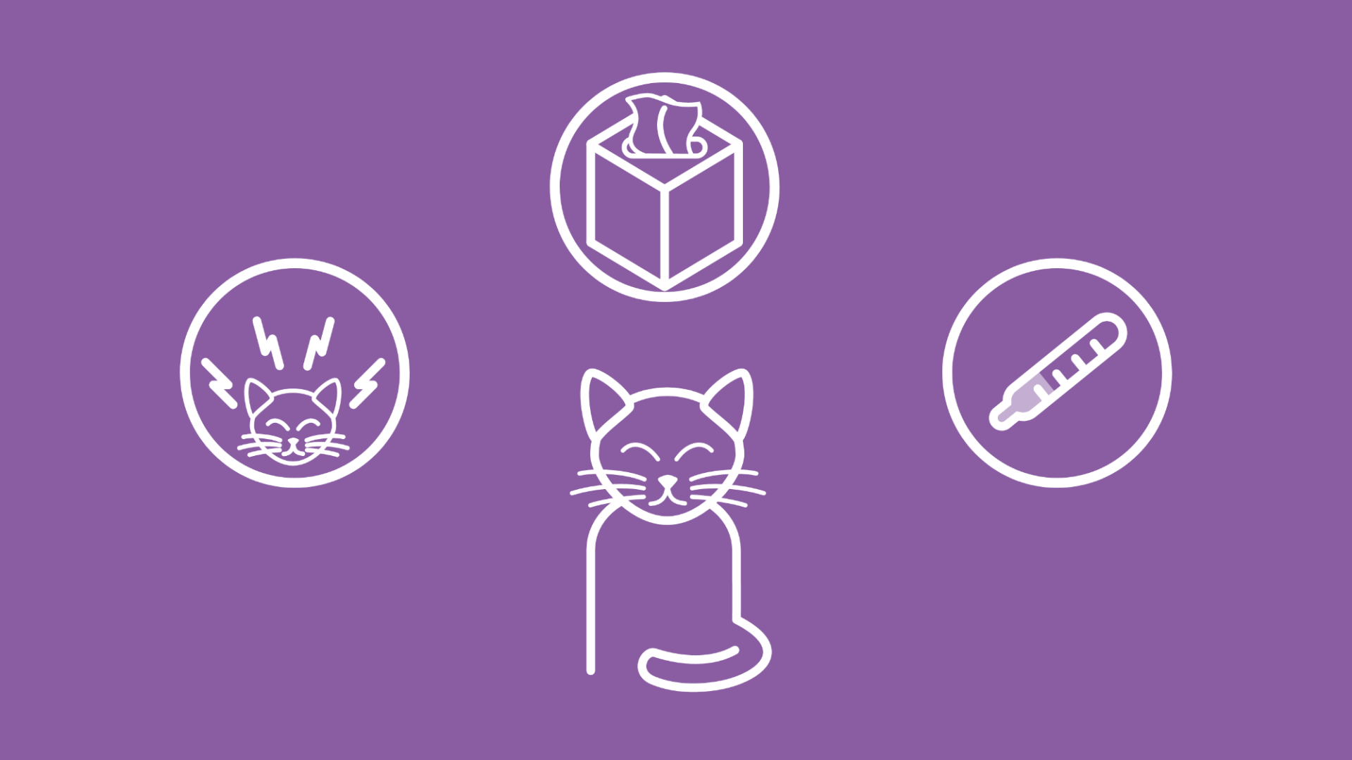 Icons, die Katzen-Krankheiten darstellen, die man unterstützend mit Homöopathie behandeln kann. 