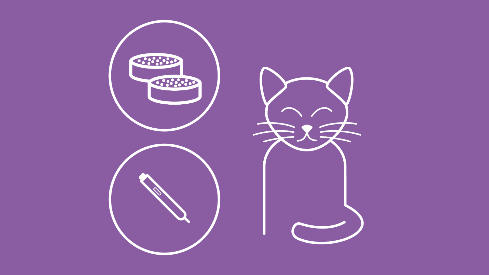 Katze mit Diabetes neben einem Epi-Pen und Schonkost.