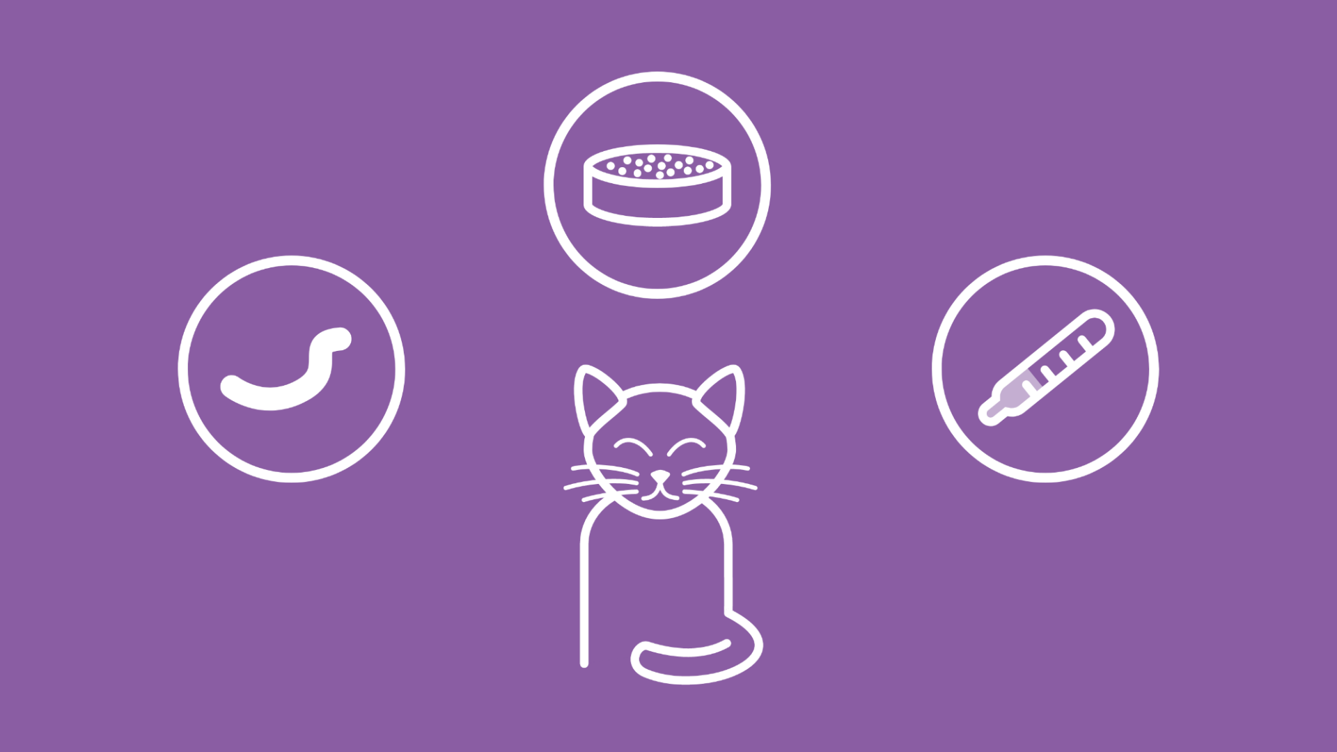  Icons für Würmer, Futter und eine Infektion, die die Ursachen für Durchfall bei Katzen aufzeigen. 