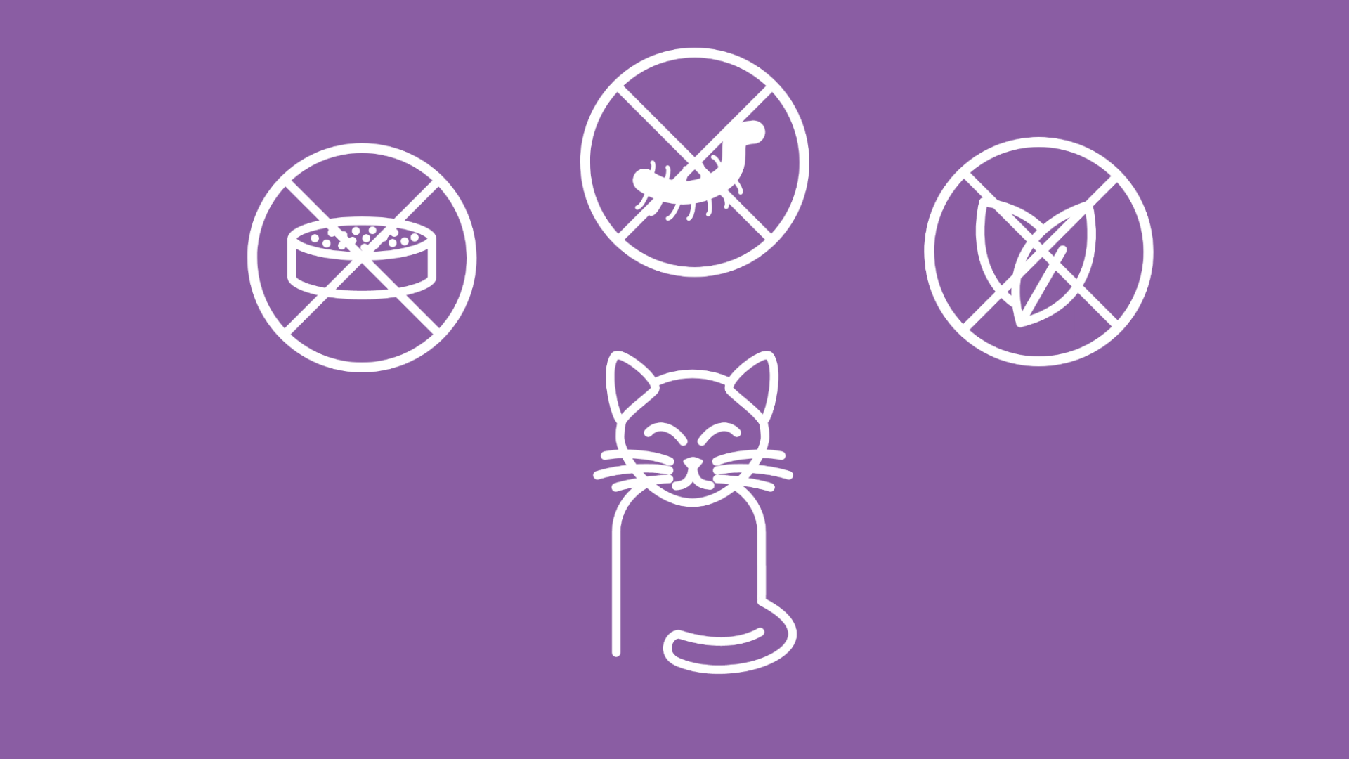 Die Grafik zeigt eine sitzende Katze. Neben ihr durchgestrichene Symbole für falsches Futter, giftige Pflanzen und Wurmbefall.