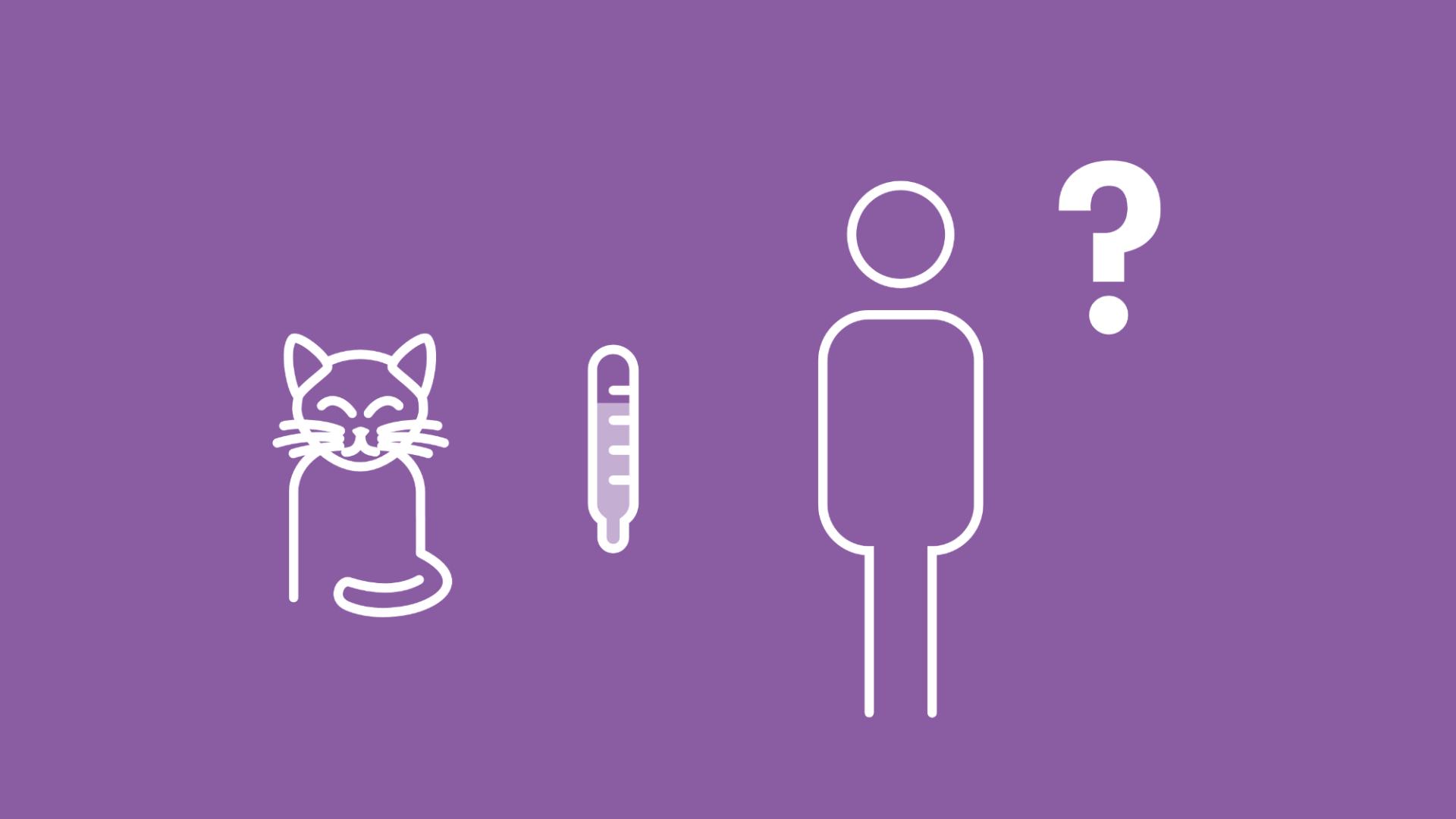 Gezeigt werden eine Katze und daneben ein Fieberthermometer. Auf diesem ist eine erhöhte Temperatur zu erkennen. Neben der Katze ist eine Person mit Fragezeichen über dem Kopf abbilden.