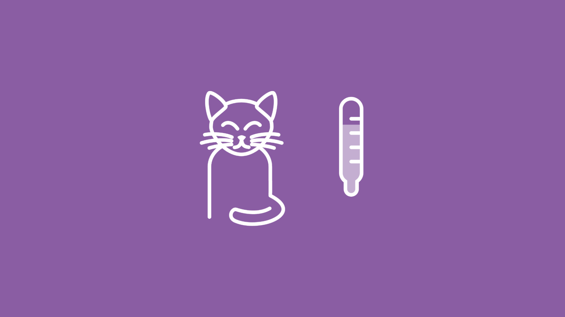Das Bild zeigt eine Katze. Daneben ist ein Fieberthermometer zu sehen, auf dem eine erhöhte Temperatur zu erkennen ist. 