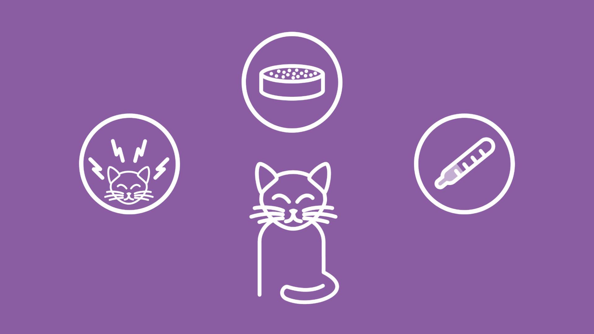 Das Bild zeigt eine Katze, neben der die Hauptursachen für Futterverweigerung wie Stress, Krankheit oder falsches Futter zu sehen sind.  