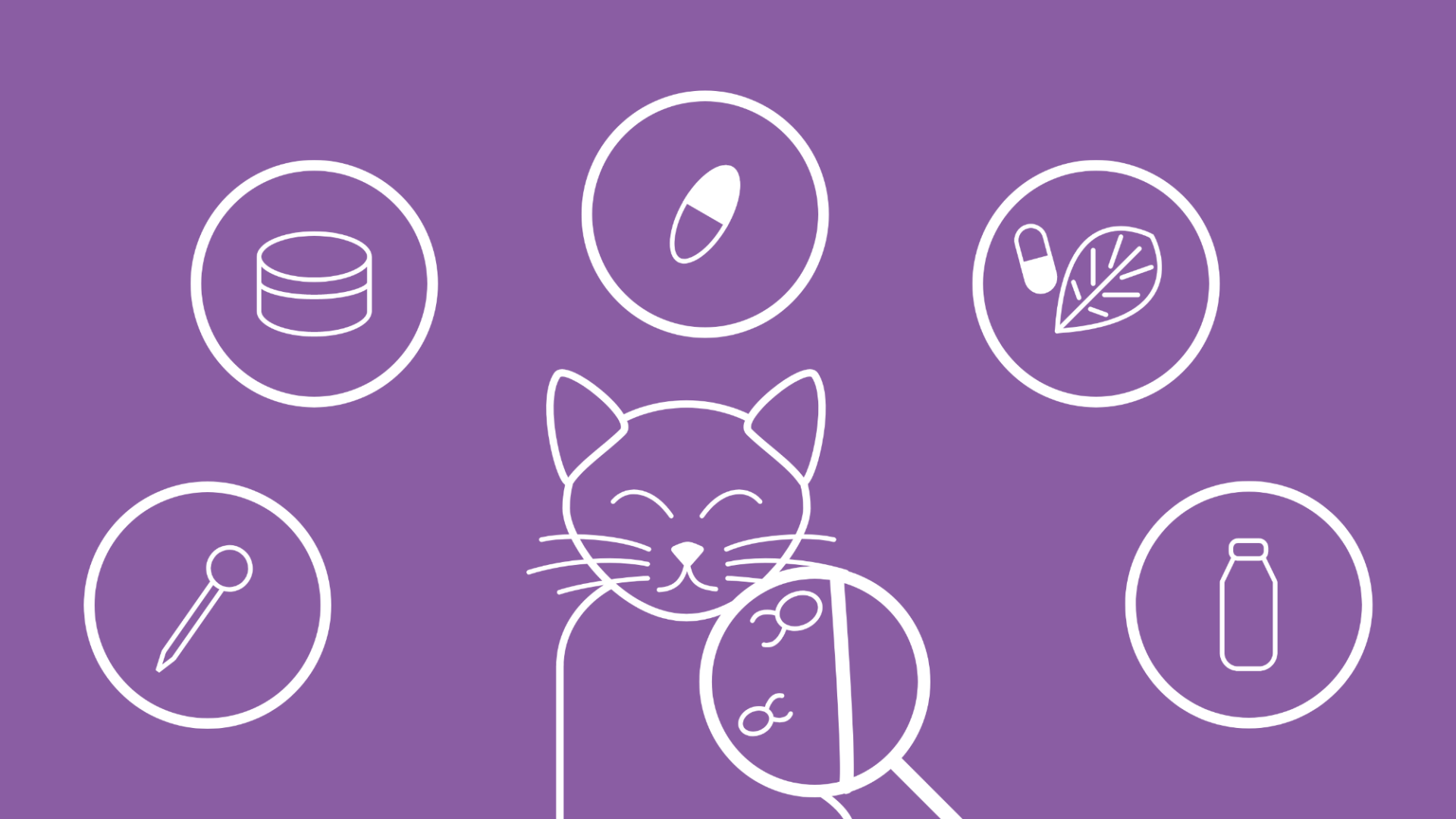 Um eine Katze, auf deren Fell eine Lupe gehalten wird, um die Katzenflöhe sichtbar zu machen, sind im Icon-Stil die verschiedenen Behandlungsmöglichkeiten illustriert.