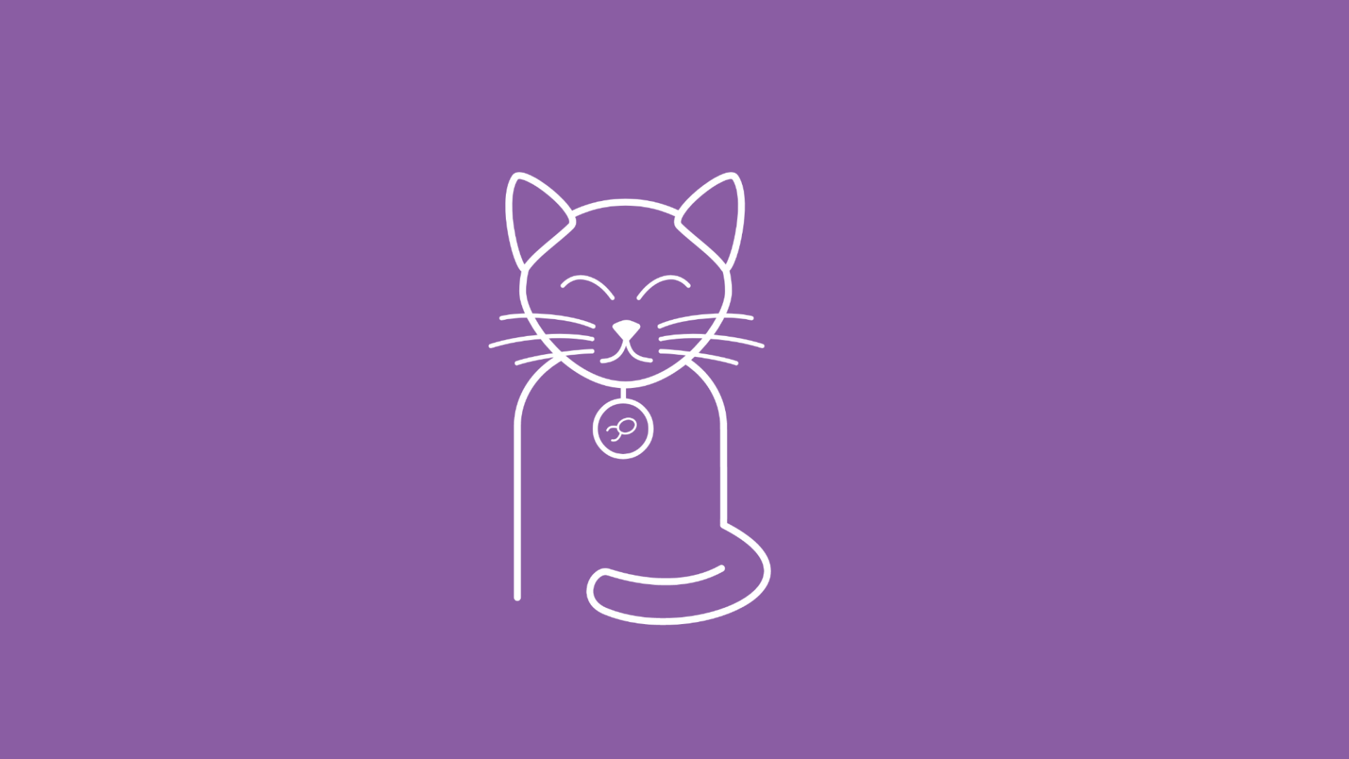 Es ist eine Katze mit Flohhalsband zu sehen, das Katzenflöhen vorbeugen soll.