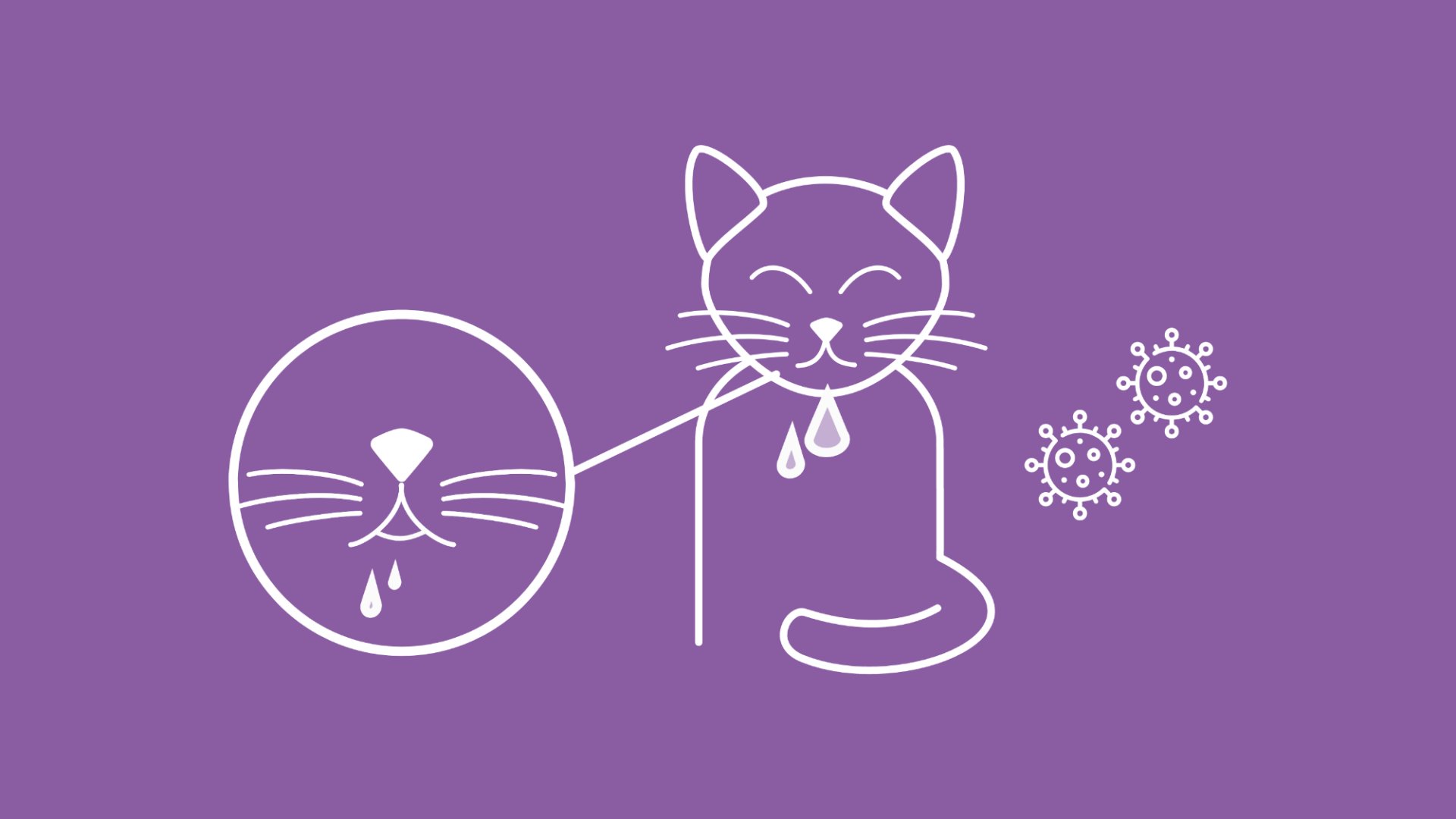 Grafik symbolisiert, dass die Katze Leukose per Tröpfcheninfektion übertragt.