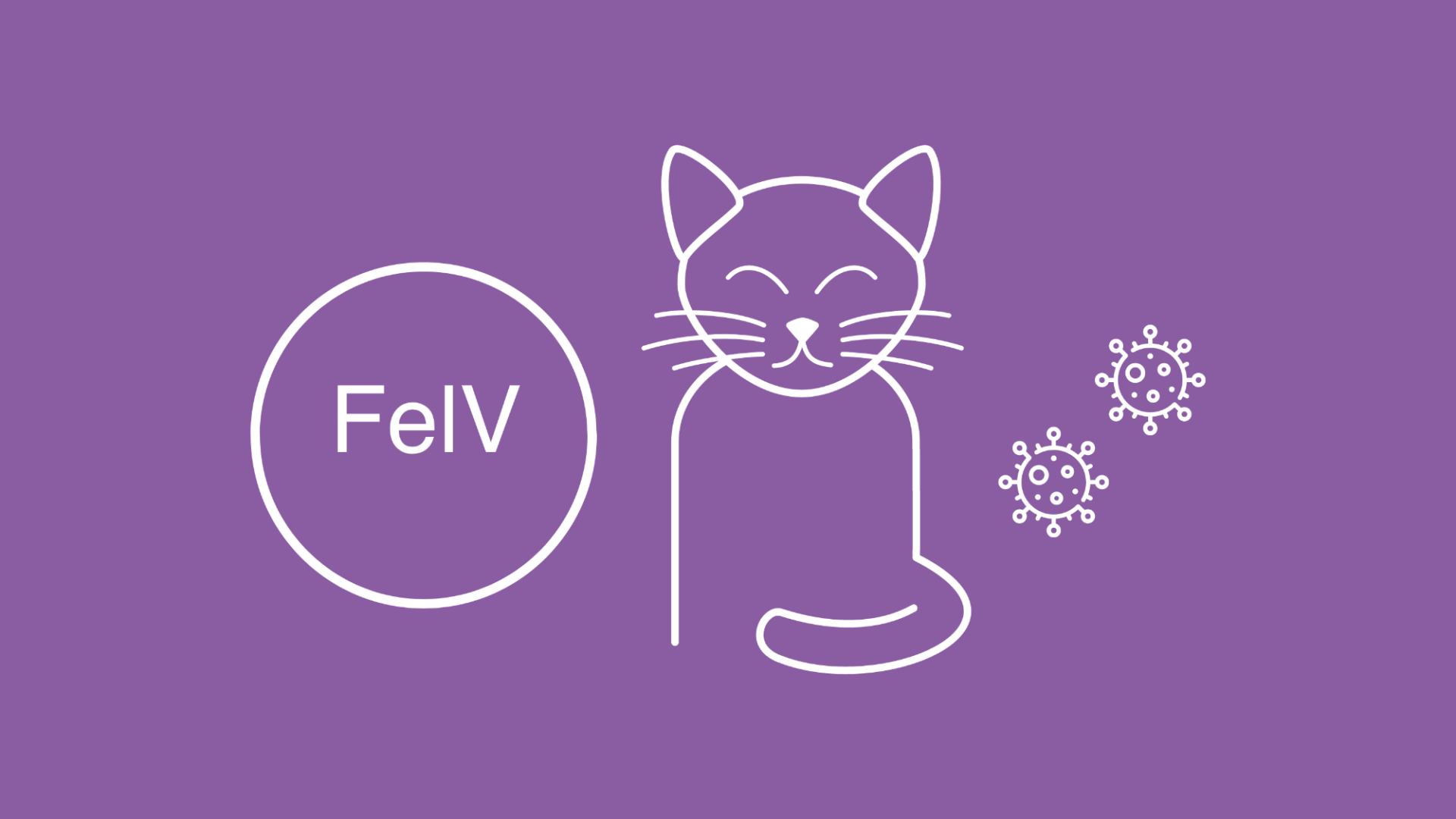 Neben einer Katze sind Leukose-Viren und die Aufschrift „FeLV“ zu sehen. 
