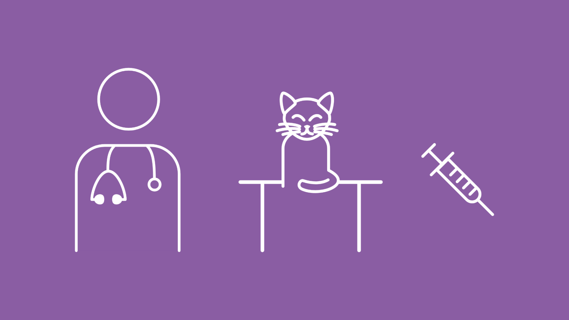 Mit Icons werden die symptomatischen Behandlungsmöglichkeiten von Leukose bei Katzen dargestellt.