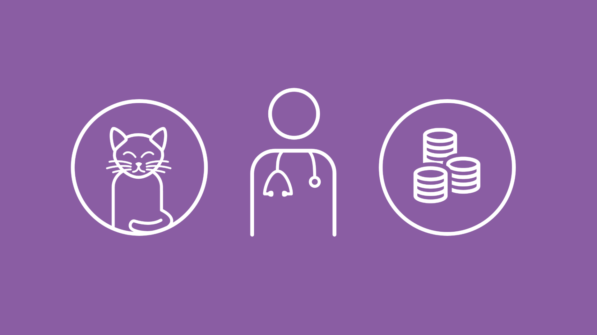 Im Fokus der Grafik steht ein Tierarzt. Links daneben ist eine Katze, rechts daneben ein Münzstapel abgebildet, der für die Tierarztkosten der Katze steht