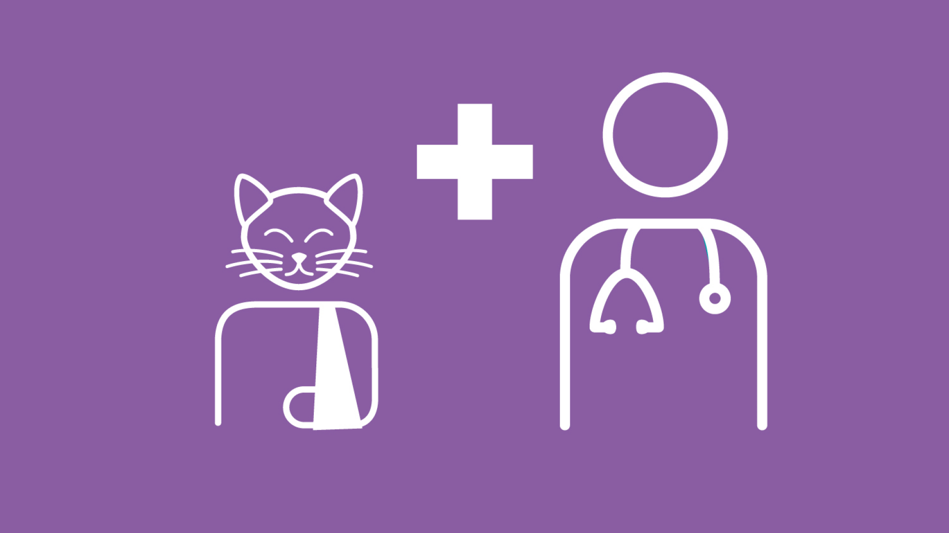 Katzenversicherung deckt Tierarztkosten ab