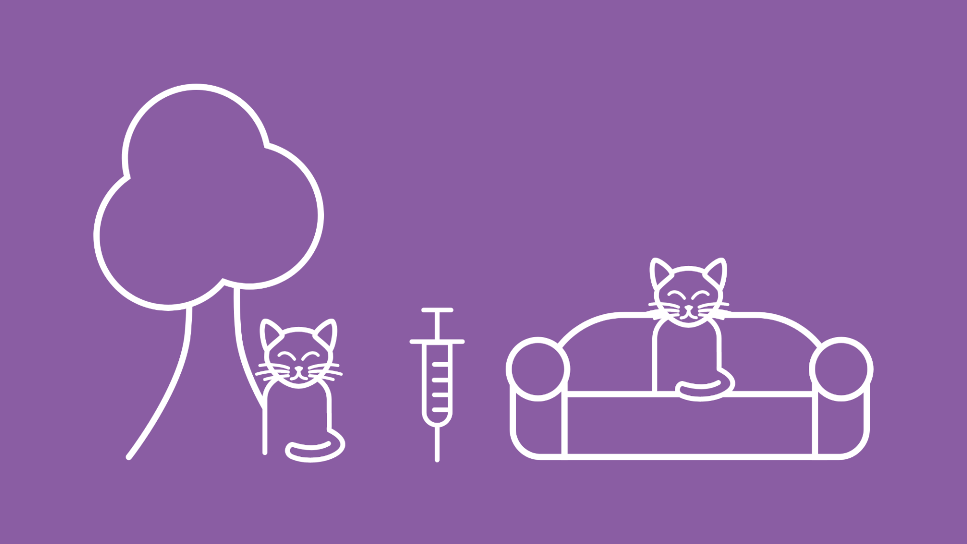 Zwischen einer Freigänger Katze neben einem Baum und einer Hauskatze auf einem Sofa ist eine Spritze abgebildet, die für den Impfschutz steht