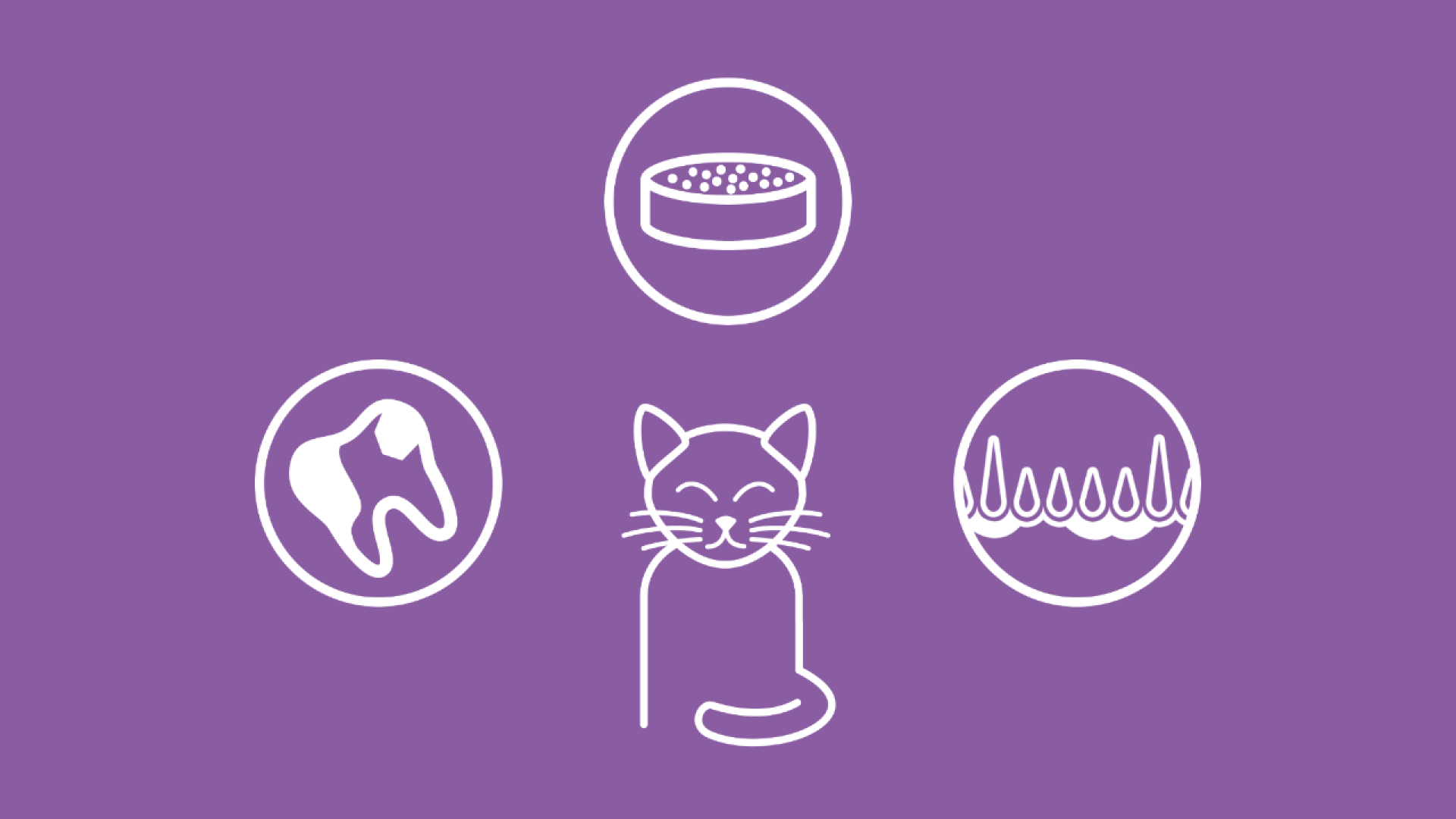 Die Grafik zeigt eine Katze, die verschiedene Symptome für Zahnstein aufweist. Title-Tag: Symptome und Anzeichen von Zahnstein bei Katzen
