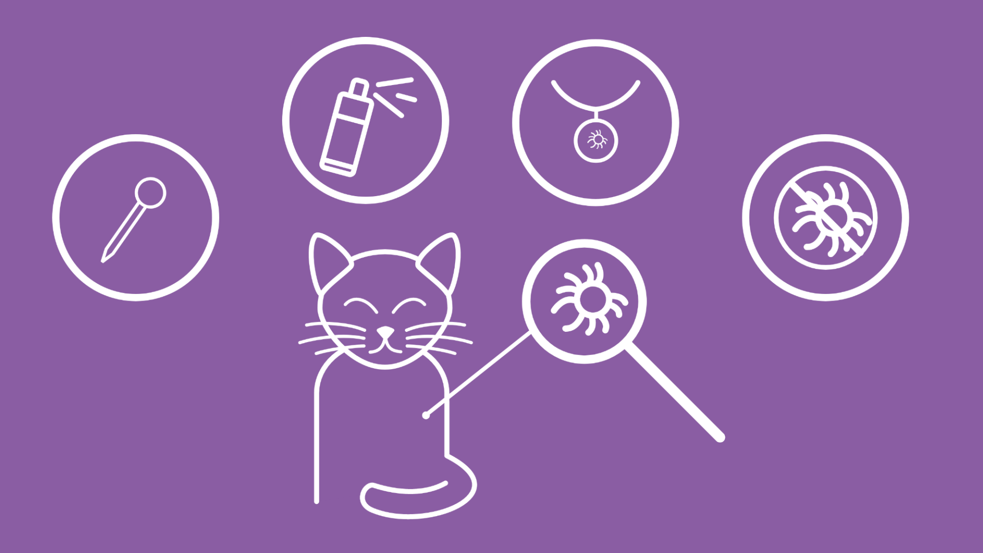 Auf dem Bild sind in Form von Icons die wichtigsten Mittel zur Vorbeugung von Zeckenbefall, um eine Katze herum, zu sehen: ein Spot-on Mittel mit Pipette, eine Spraydose und ein Katzenhalsband. Außerdem ist ein Symbol mit einer durchgestrichenen Zecke zu sehen, um den Schutz für die Katze darzustellen.  