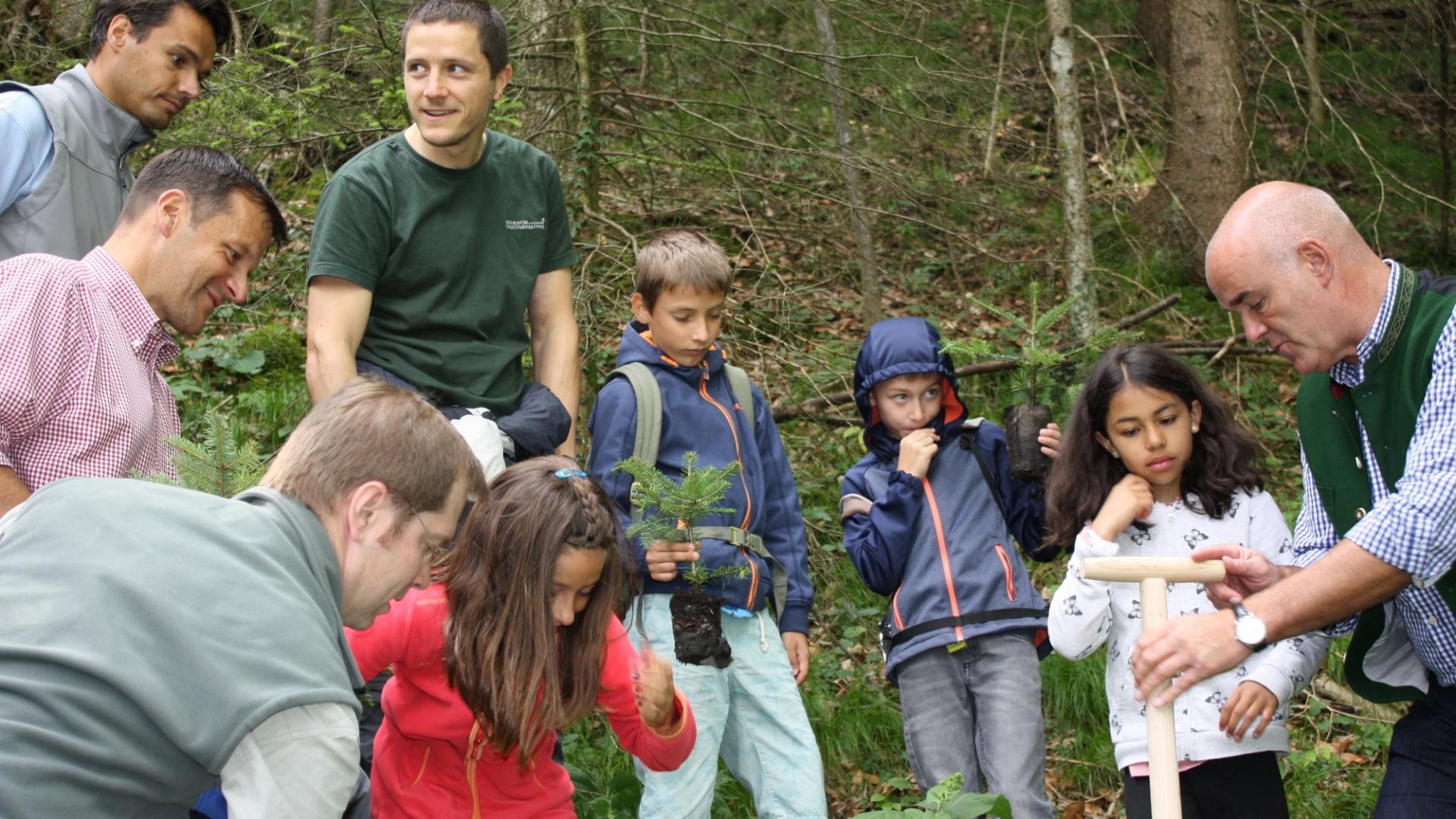 Schüler pflanzen Bäume für Bergwald