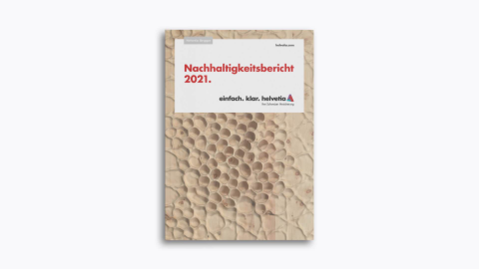 Nachhaltigkeitsbericht 2021